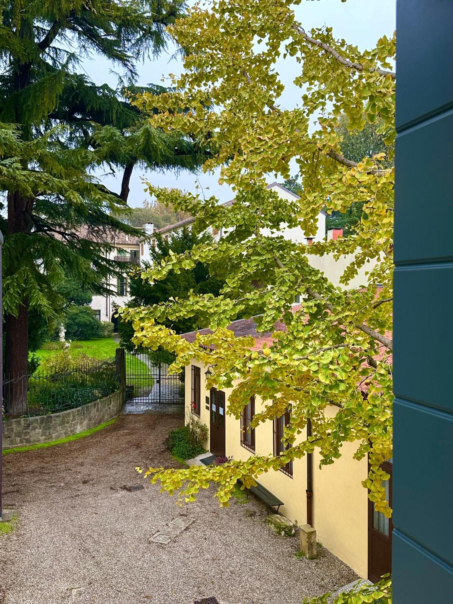 Foresteria Conti, Sulle Tracce Di Shakespeare Pádua Exterior foto